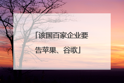 该国百家企业要告苹果、谷歌