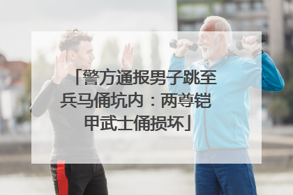 警方通报男子跳至兵马俑坑内：两尊铠甲武士俑损坏