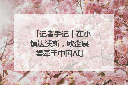 记者手记｜在小镇达沃斯，欧企展望牵手中国AI