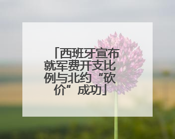 西班牙宣布就军费开支比例与北约“砍价”成功