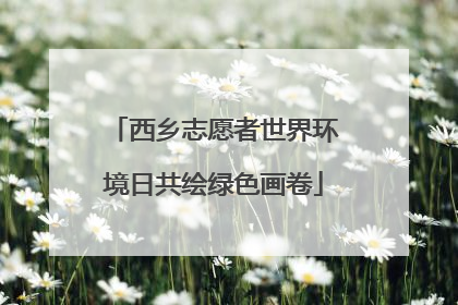 西乡志愿者世界环境日共绘绿色画卷