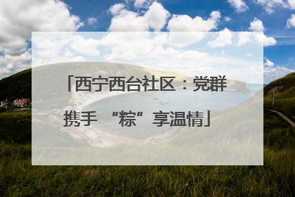 西宁西台社区：党群携手 “粽”享温情