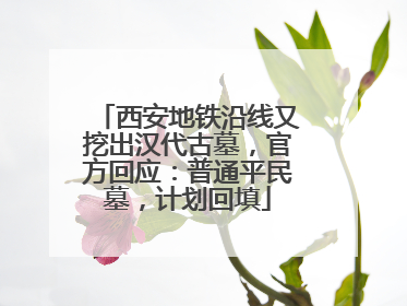 西安地铁沿线又挖出汉代古墓，官方回应：普通平民墓，计划回填