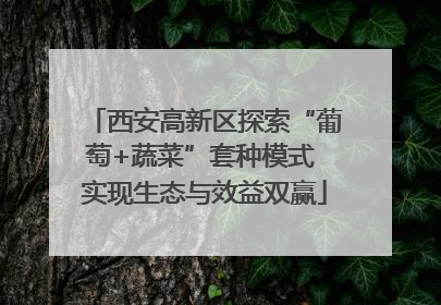 西安高新区探索“葡萄+蔬菜”套种模式 实现生态与效益双赢