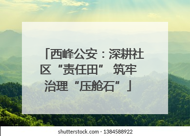 西峰公安：深耕社区“责任田” 筑牢治理“压舱石”