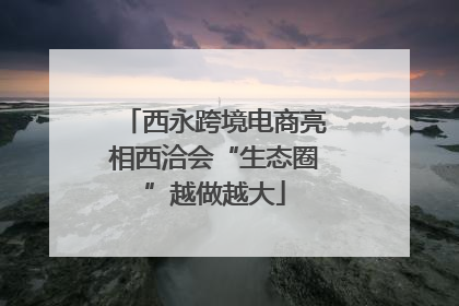 西永跨境电商亮相西洽会“生态圈”越做越大