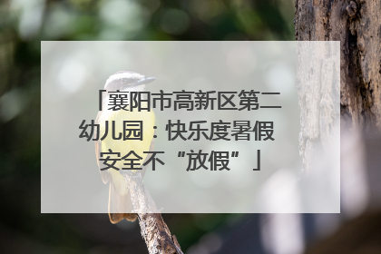 襄阳市高新区第二幼儿园：快乐度暑假 安全不“放假”