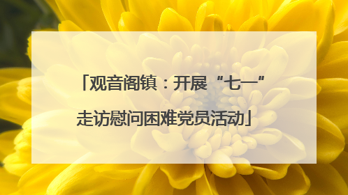 观音阁镇：开展“七一”走访慰问困难党员活动