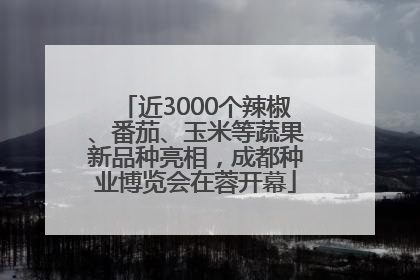 近3000个辣椒、番茄、玉米等蔬果新品种亮相，成都种业博览会在蓉开幕