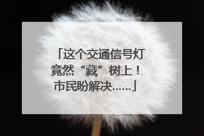这个交通信号灯竟然“藏”树上！市民盼解决……