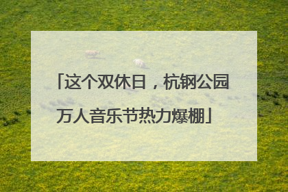 这个双休日，杭钢公园万人音乐节热力爆棚