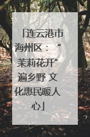 连云港市海州区：“茉莉花开”遍乡野 文化惠民暖人心