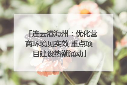 连云港海州：优化营商环境见实效 重点项目建设热潮涌动