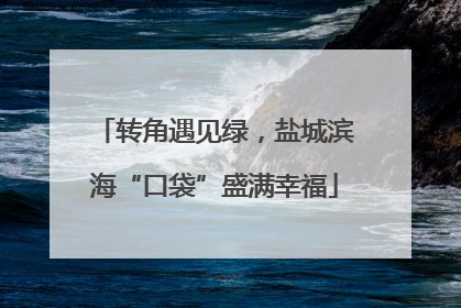 转角遇见绿，盐城滨海“口袋”盛满幸福