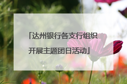达州银行各支行组织开展主题团日活动