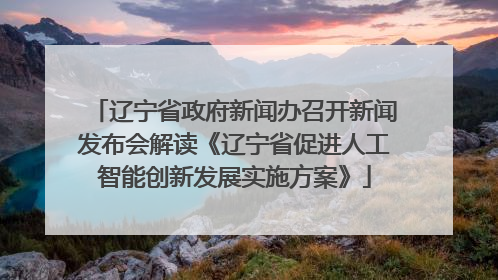 辽宁省政府新闻办召开新闻发布会解读《辽宁省促进人工智能创新发展实施方案》