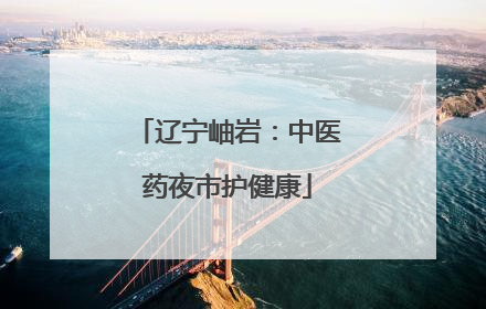 辽宁岫岩：中医药夜市护健康