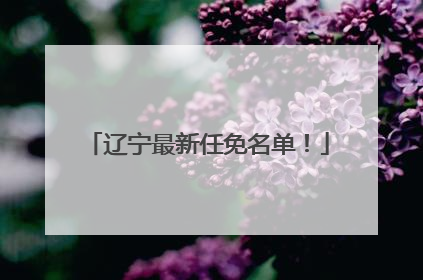 辽宁最新任免名单！