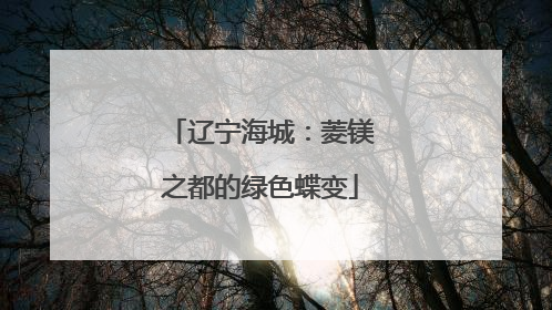 辽宁海城：菱镁之都的绿色蝶变