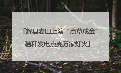 辉县麦田上演“点草成金” 秸秆发电点亮万家灯火