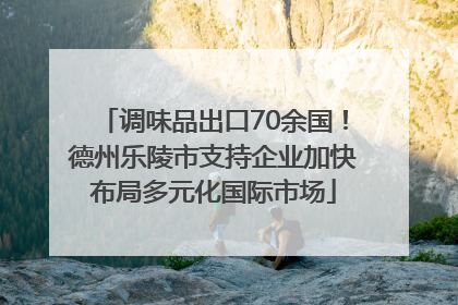 调味品出口70余国！德州乐陵市支持企业加快布局多元化国际市场