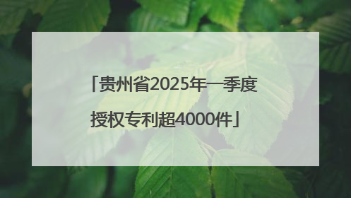 贵州省2025年一季度授权专利超4000件