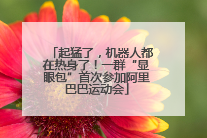 起猛了，机器人都在热身了！一群“显眼包”首次参加阿里巴巴运动会