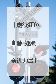 赓续红色血脉 凝聚奋进力量