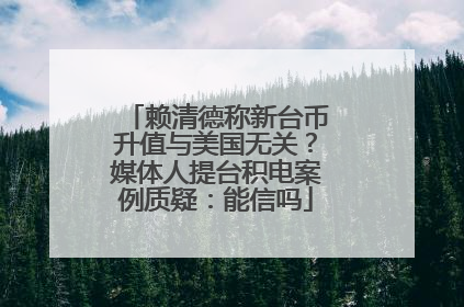 赖清德称新台币升值与美国无关？媒体人提台积电案例质疑：能信吗