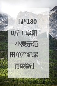 超1800斤！阜阳一小麦示范田单产纪录再刷新