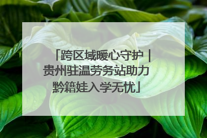 跨区域暖心守护｜贵州驻温劳务站助力黔籍娃入学无忧