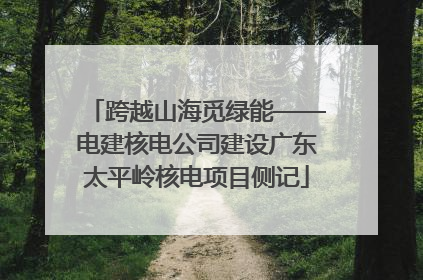 跨越山海觅绿能——电建核电公司建设广东太平岭核电项目侧记