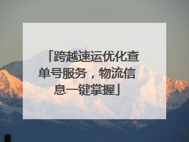 跨越速运优化查单号服务，物流信息一键掌握