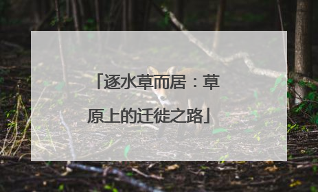 逐水草而居：草原上的迁徙之路