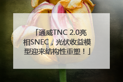通威TNC 2.0亮相SNEC，光伏收益模型迎来结构性重塑！