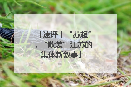 速评丨“苏超”，“散装”江苏的集体新叙事