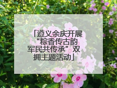 遵义余庆开展“粽香传古韵 军民共传承”双拥主题活动