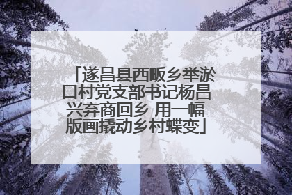 遂昌县西畈乡举淤口村党支部书记杨昌兴弃商回乡 用一幅版画撬动乡村蝶变