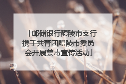 邮储银行醴陵市支行携手共青团醴陵市委员会开展禁毒宣传活动