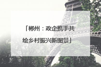 郴州：政企携手共绘乡村振兴新图景