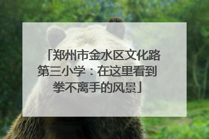 郑州市金水区文化路第三小学：在这里看到拳不离手的风景