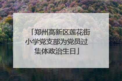 郑州高新区莲花街小学党支部为党员过集体政治生日