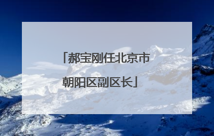 郝宝刚任北京市朝阳区副区长