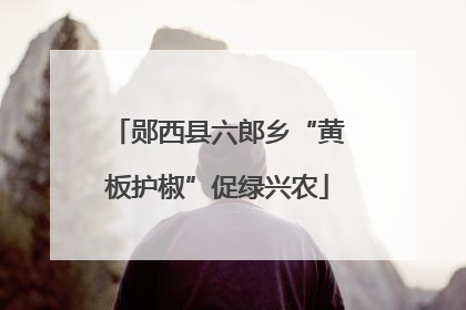 郧西县六郎乡“黄板护椒”促绿兴农