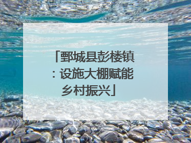 鄄城县彭楼镇：设施大棚赋能乡村振兴