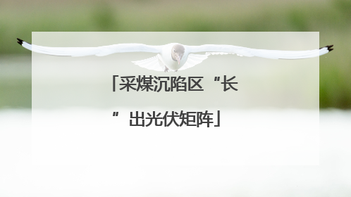 采煤沉陷区“长”出光伏矩阵