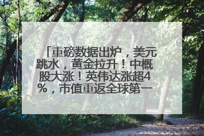重磅数据出炉，美元跳水，黄金拉升！中概股大涨！英伟达涨超4%，市值重返全球第一！黄仁勋计划出售至多600万股股票