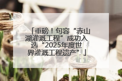 重磅！句容“赤山湖灌溉工程”成功入选“2025年度世界灌溉工程遗产”