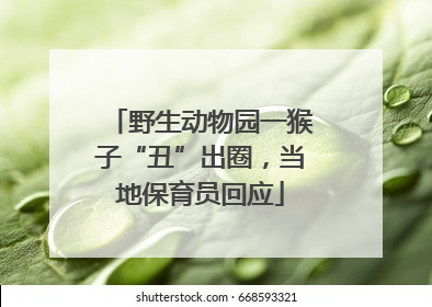 野生动物园一猴子“丑”出圈，当地保育员回应