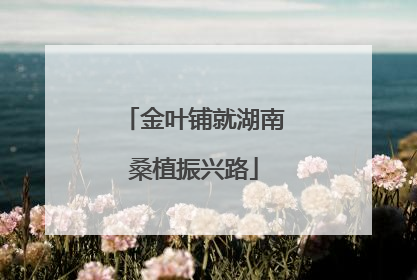 金叶铺就湖南桑植振兴路